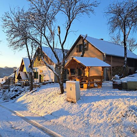 Вилла Macskajaj Vendeghaz Mecseknadasd Экстерьер фото