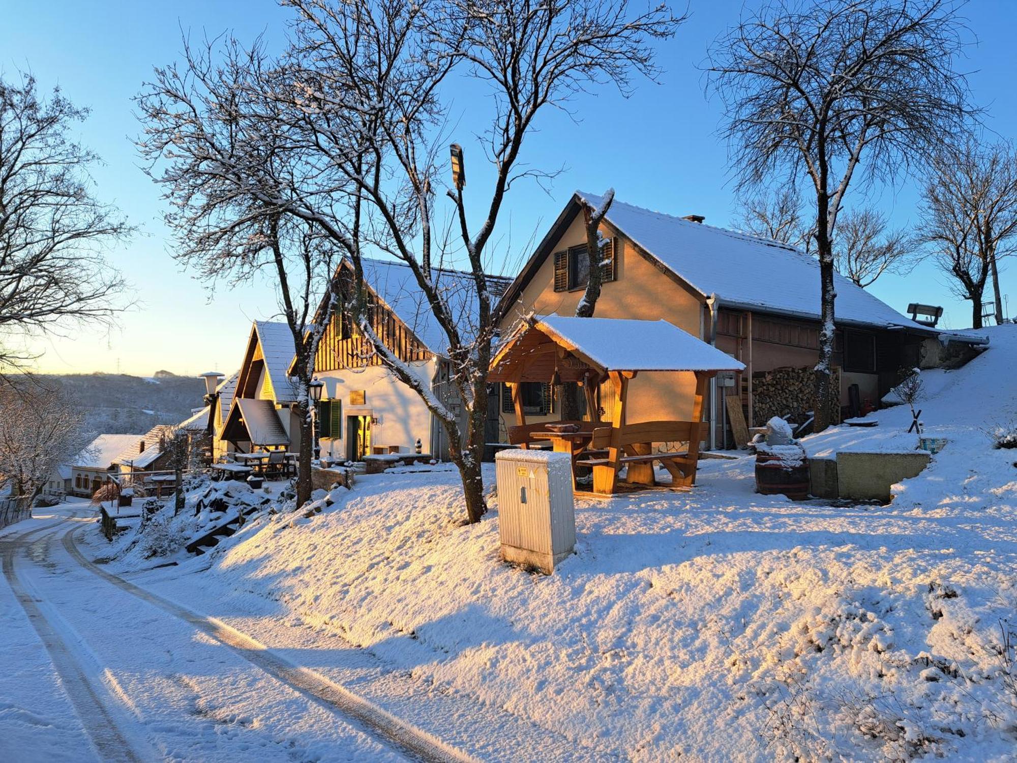 Вилла Macskajaj Vendeghaz Mecseknadasd Экстерьер фото